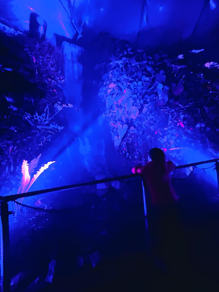 Christmas at Eden 2023 | Review