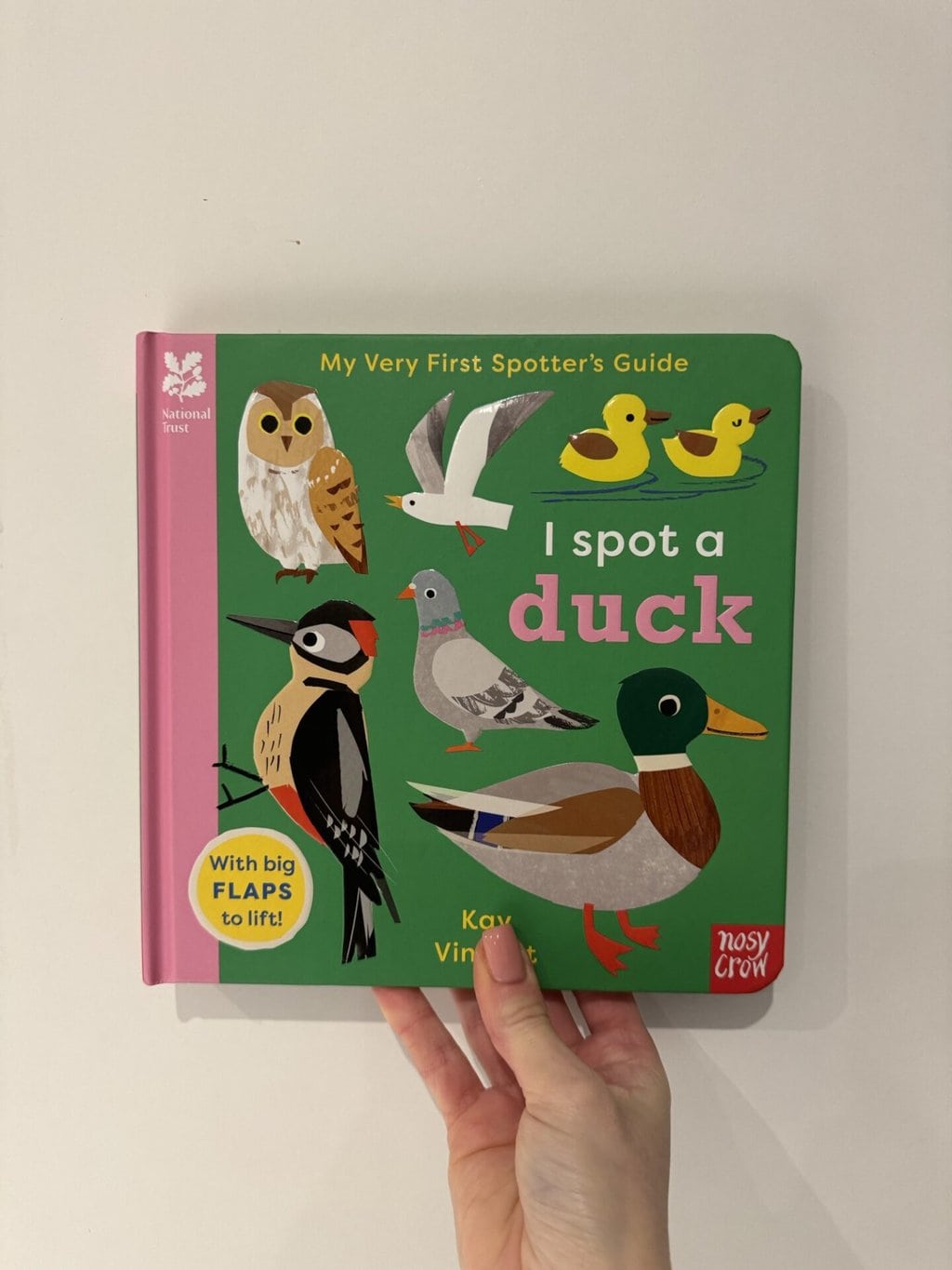 I Spot a Duck -