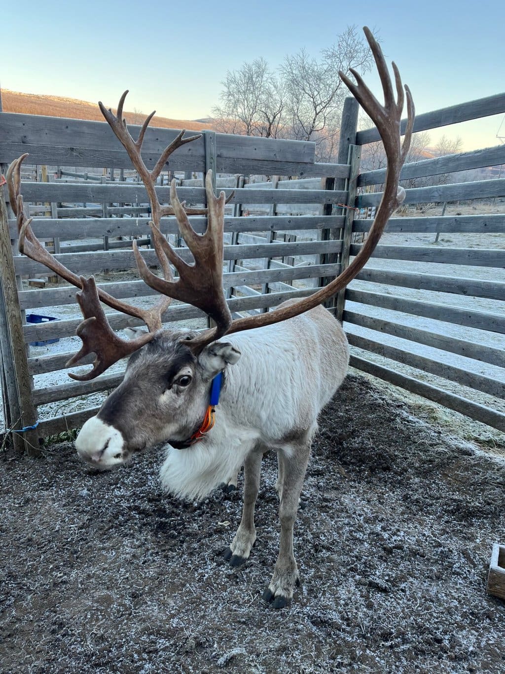 Finnish Lapland Holiday