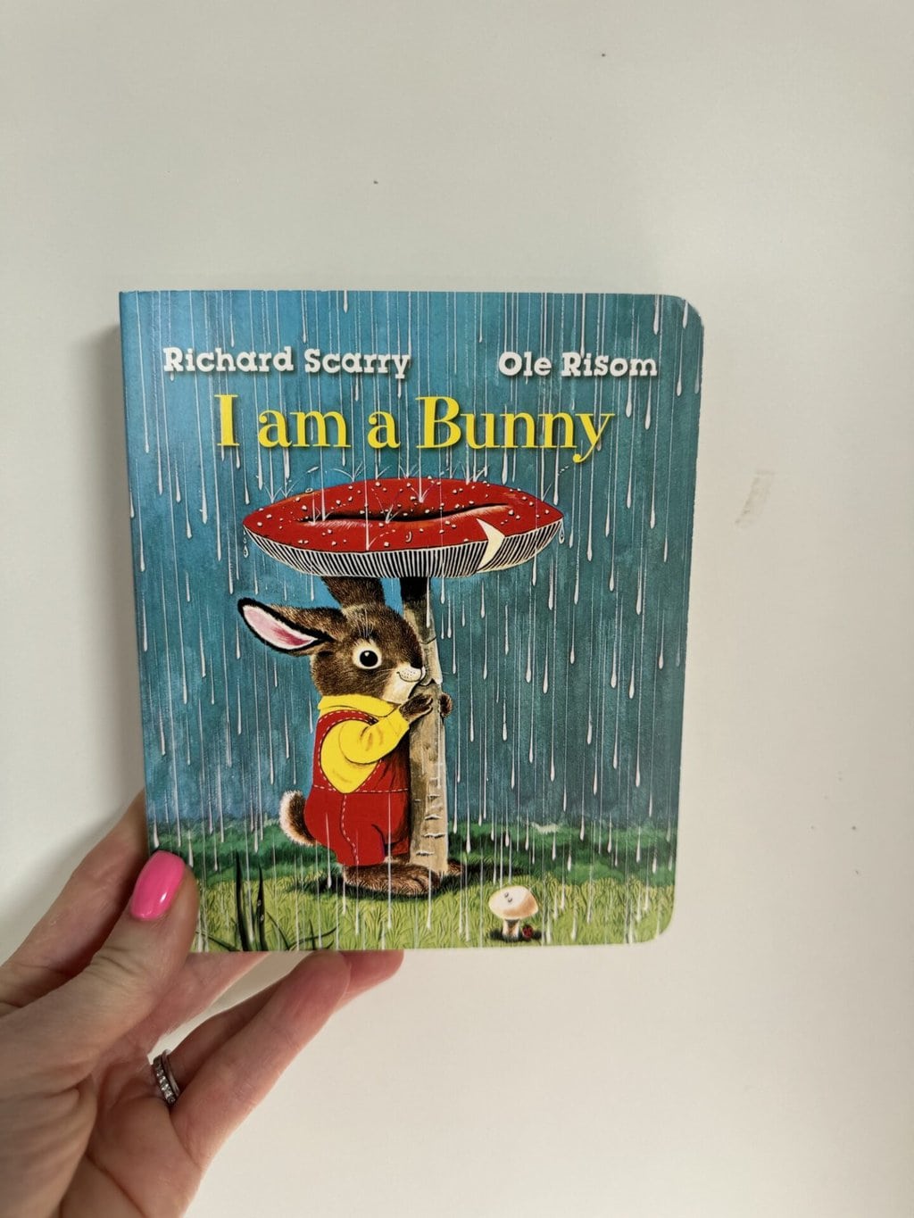 I am a Bunny - Richard Scarry