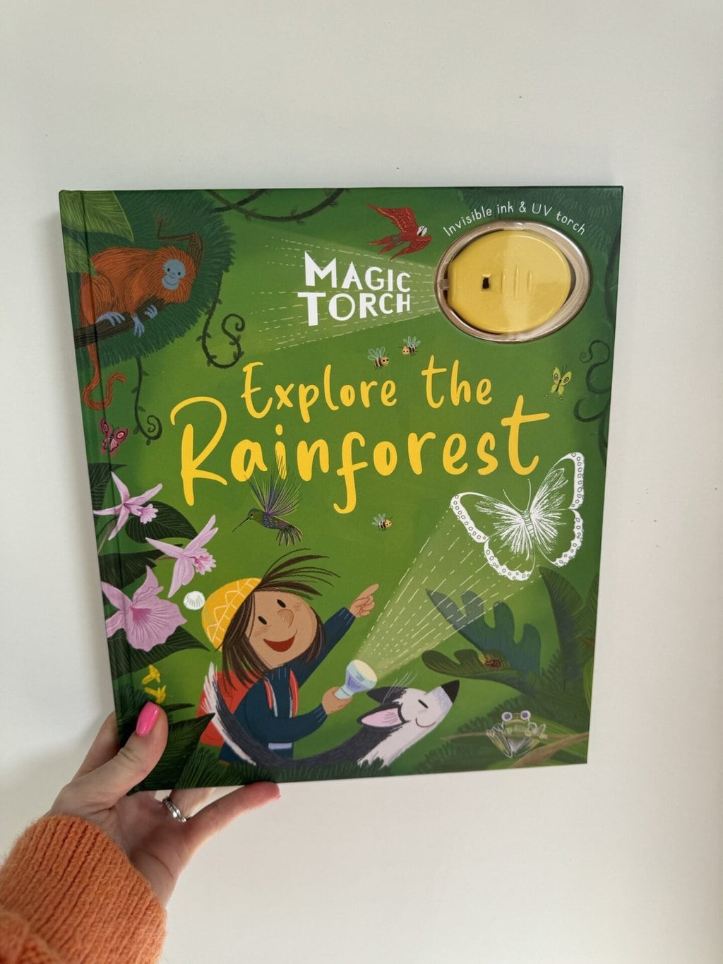 Magic Torch - Explore the Rainforest