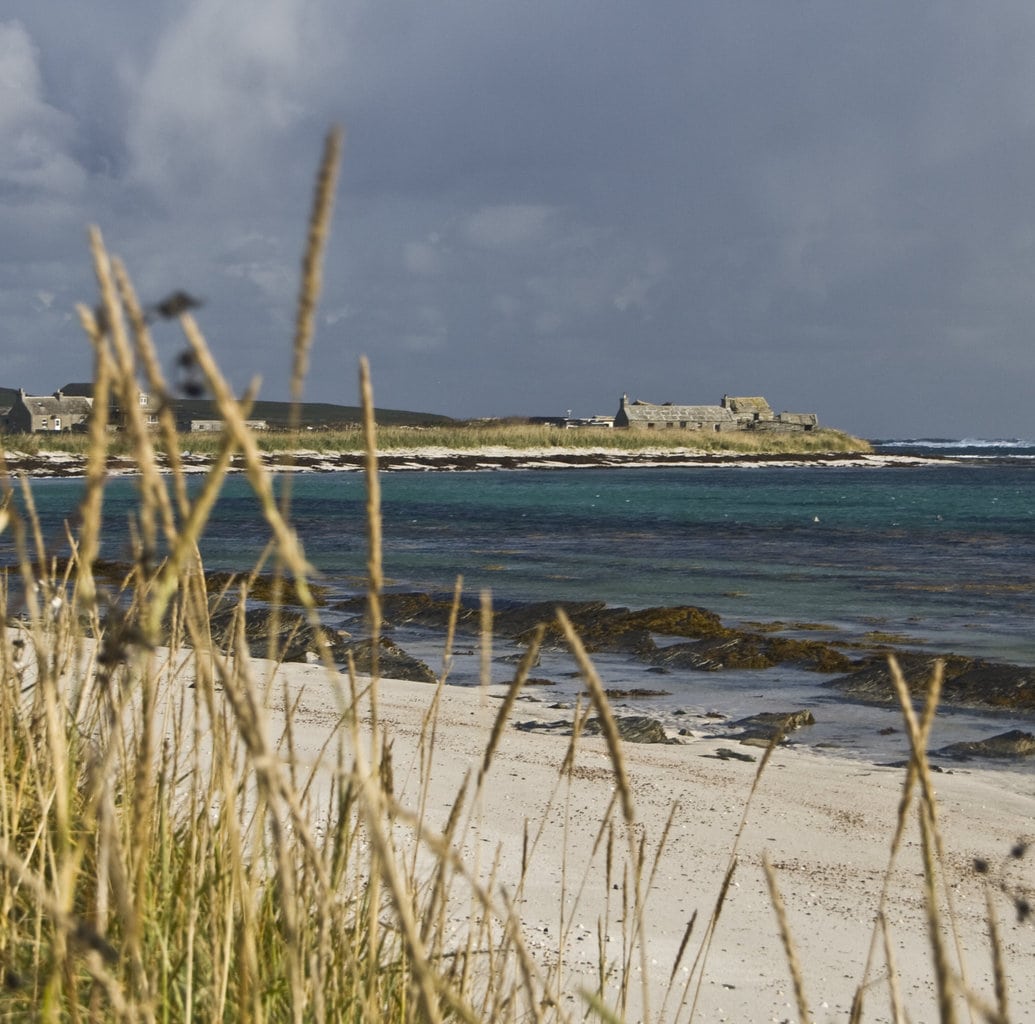 Cott, Papa Westray