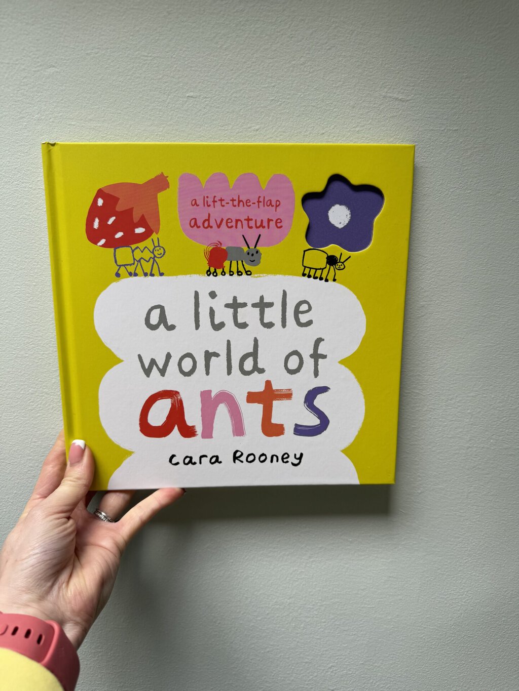 A Little World of Ants