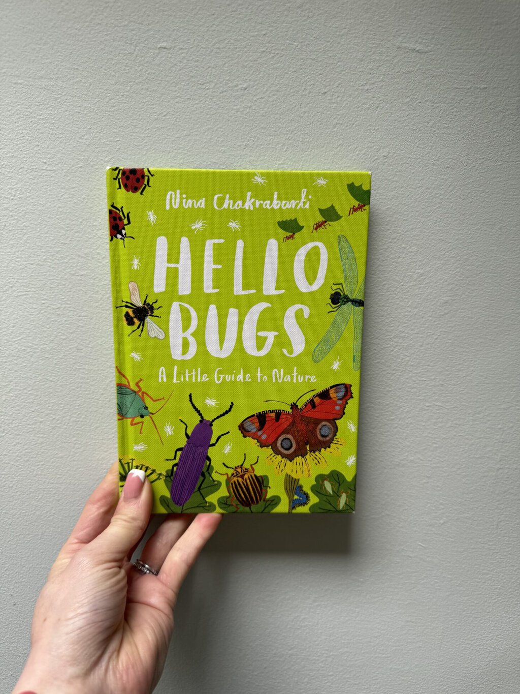Hello Bugs - A Little Guide to Nature