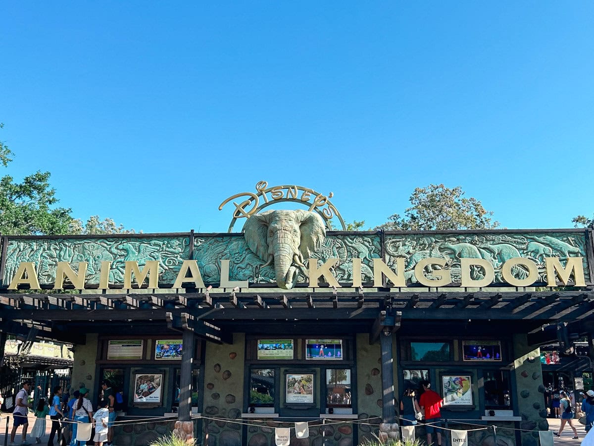 Single Rider Lines at Animal Kingdom