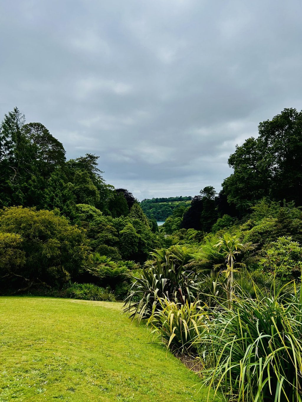 Trebah Gardens is a hidden gem in Cornwall
