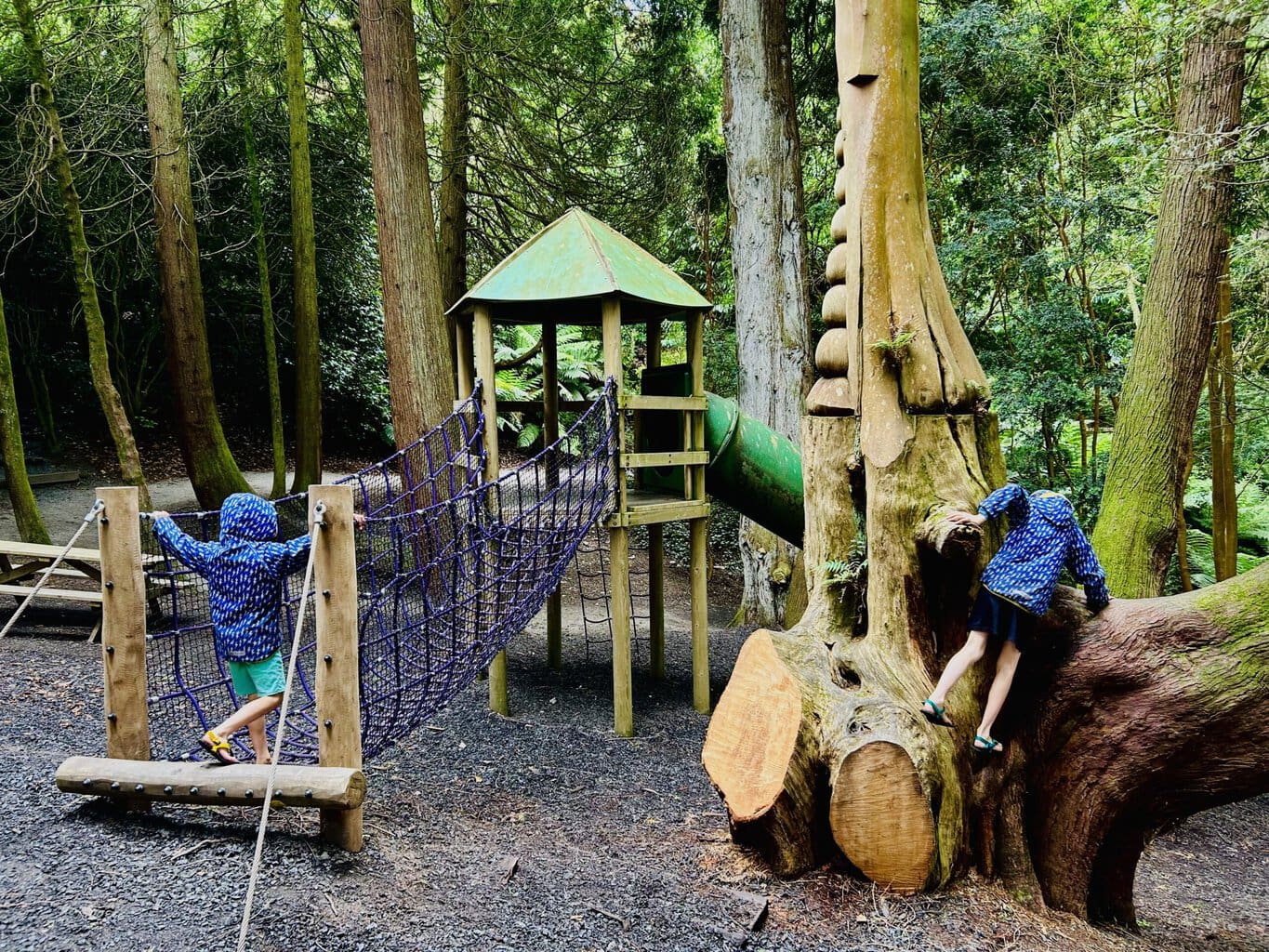 Trebah Gardens is a hidden gem in Cornwall