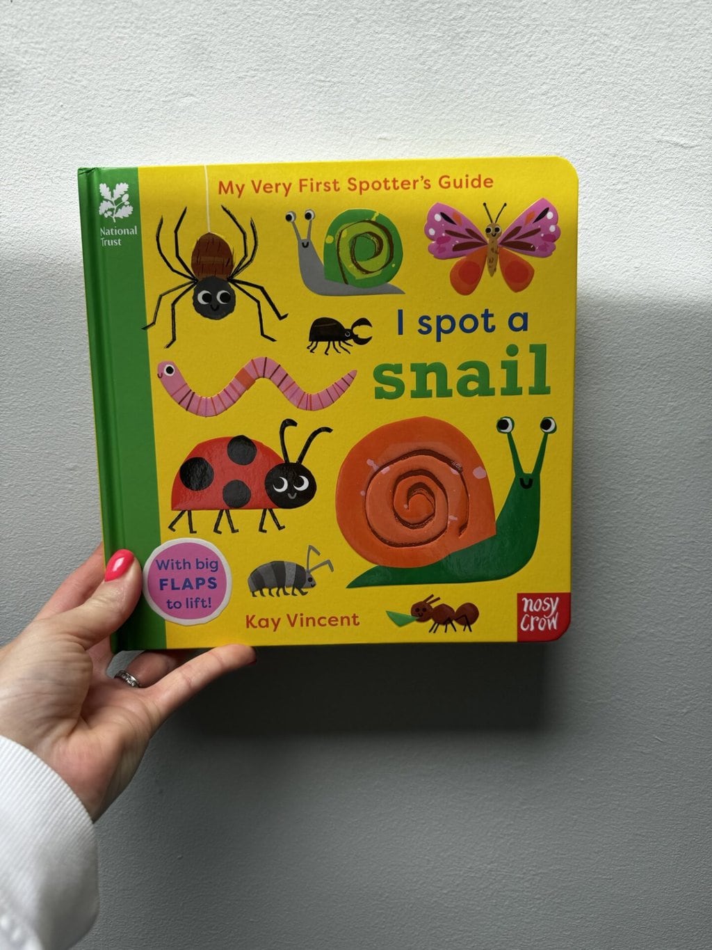 I Spot a Snail