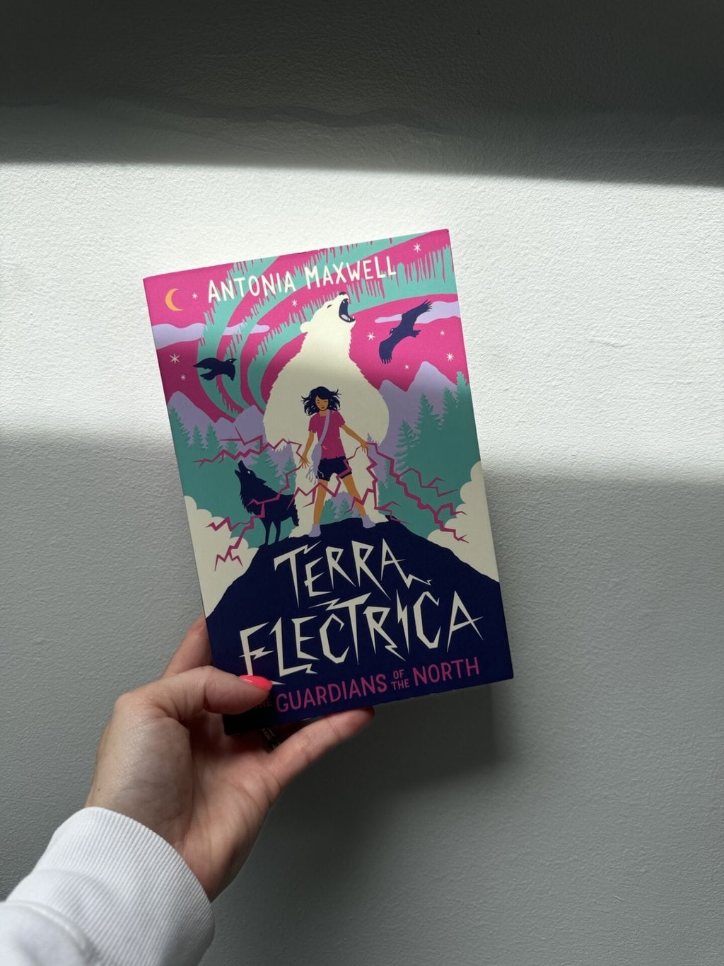 Terra Electrica - The Guardians of the North