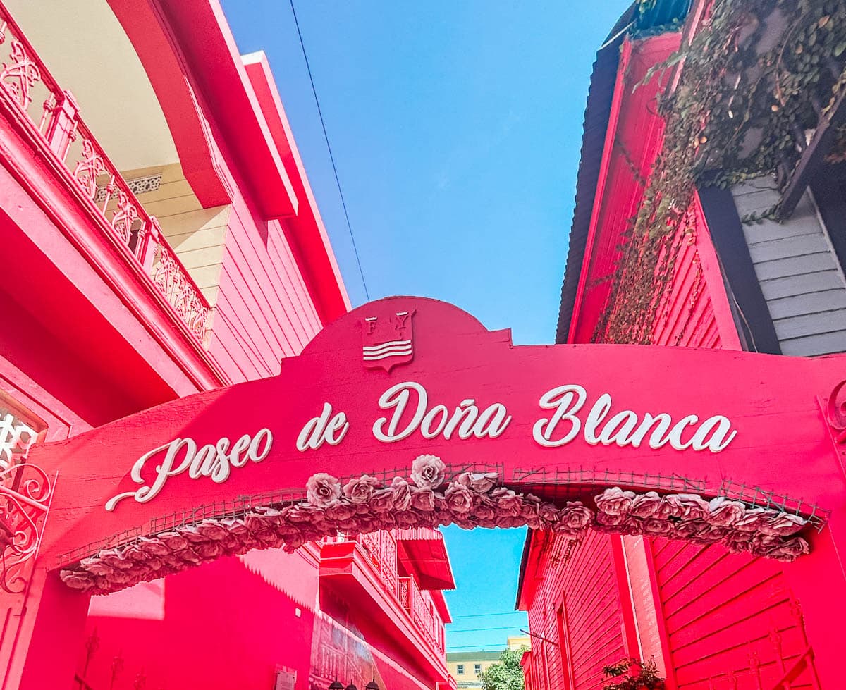 Pink Street In Peurto Plata