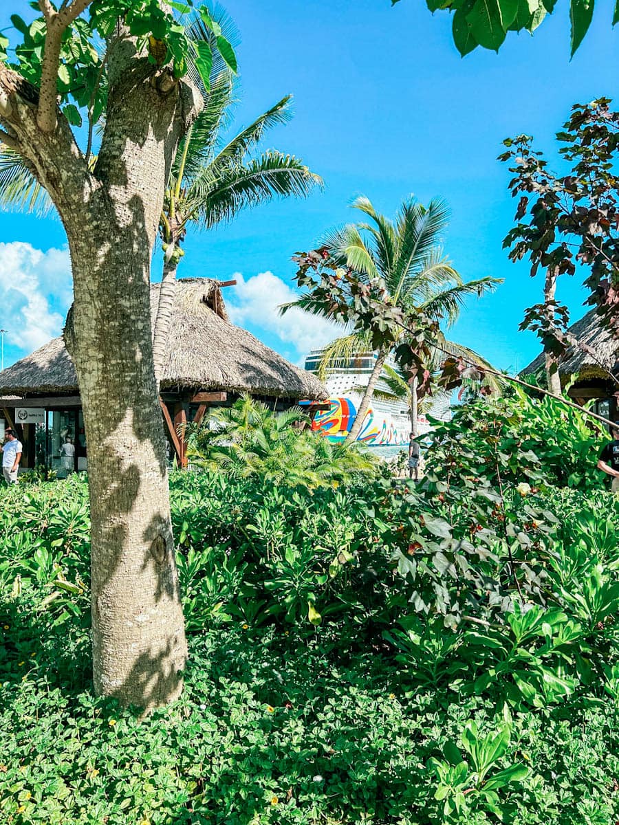 What To Do In Puerto Plata Cruise Port & Taino Bay