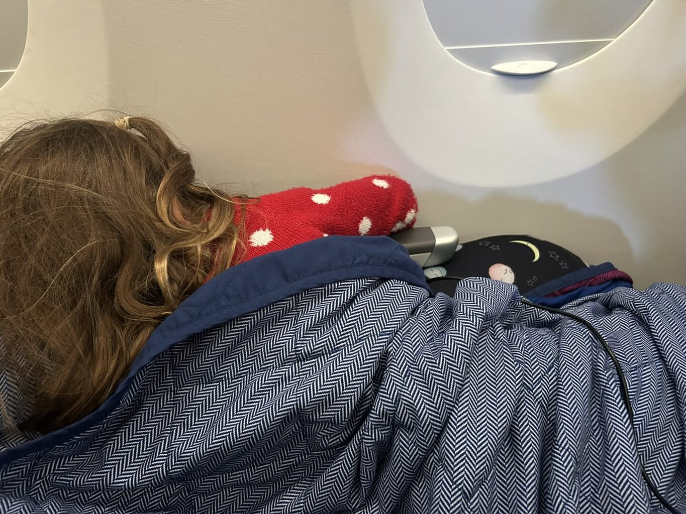 Seat to Sleep Travel Nest | Review