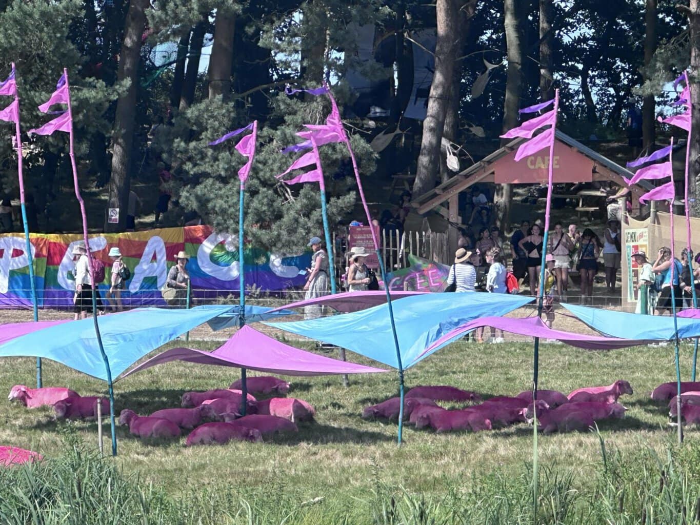 Latitude Festival 2024 | Review