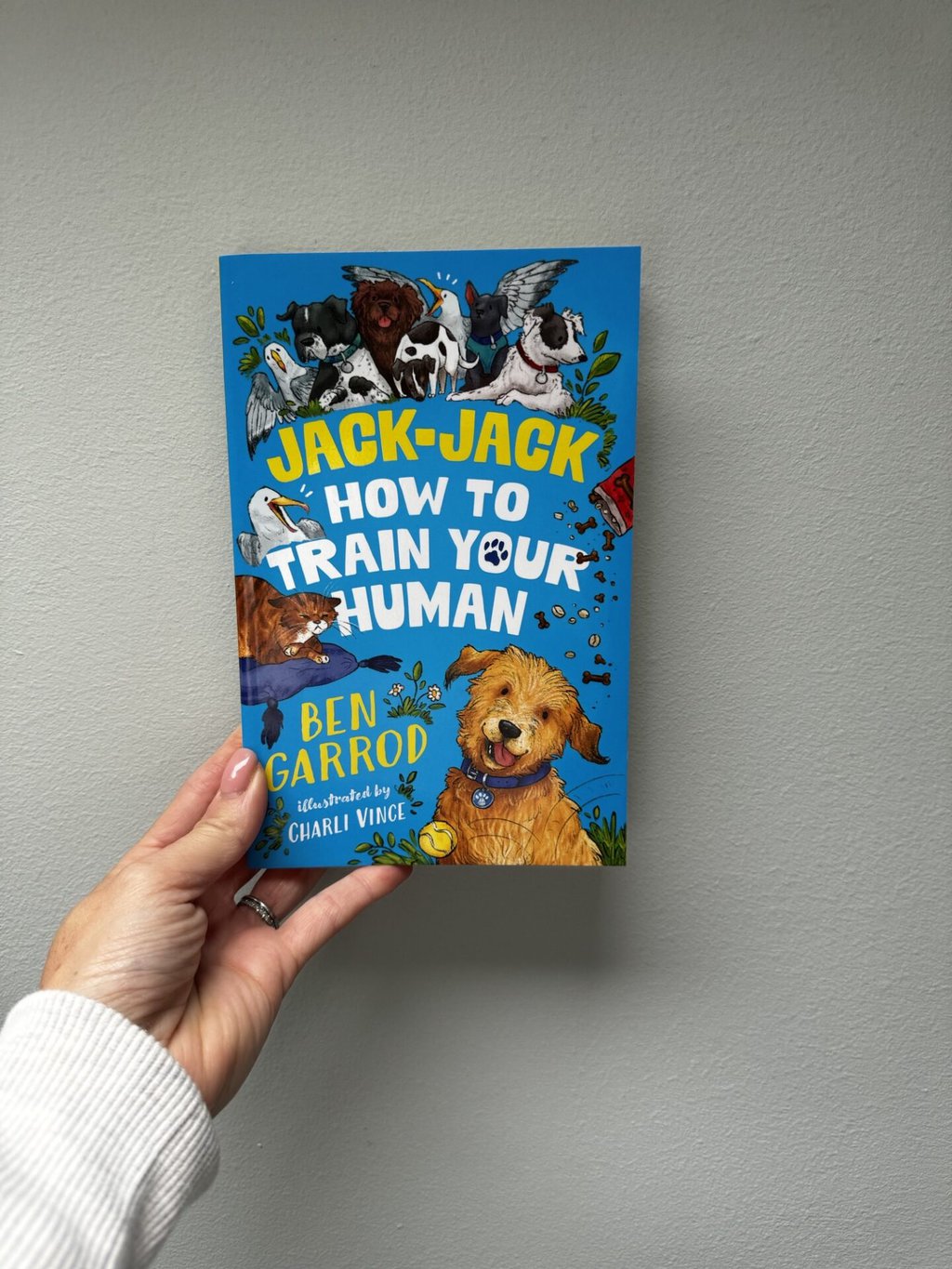 Jack-Jack - How to Train your Human