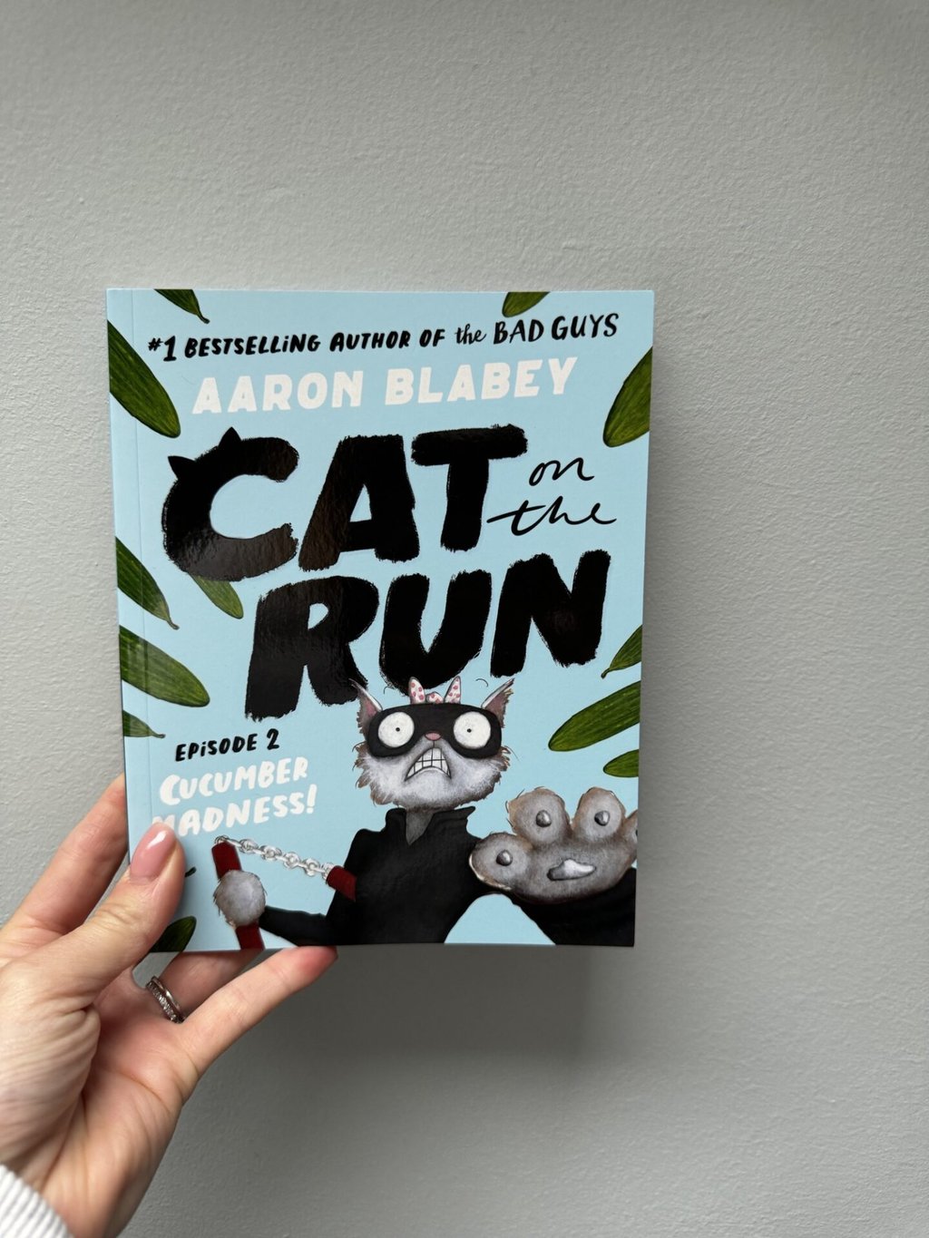 Cat on the Run - Episode 2 - Cucumber Madness!