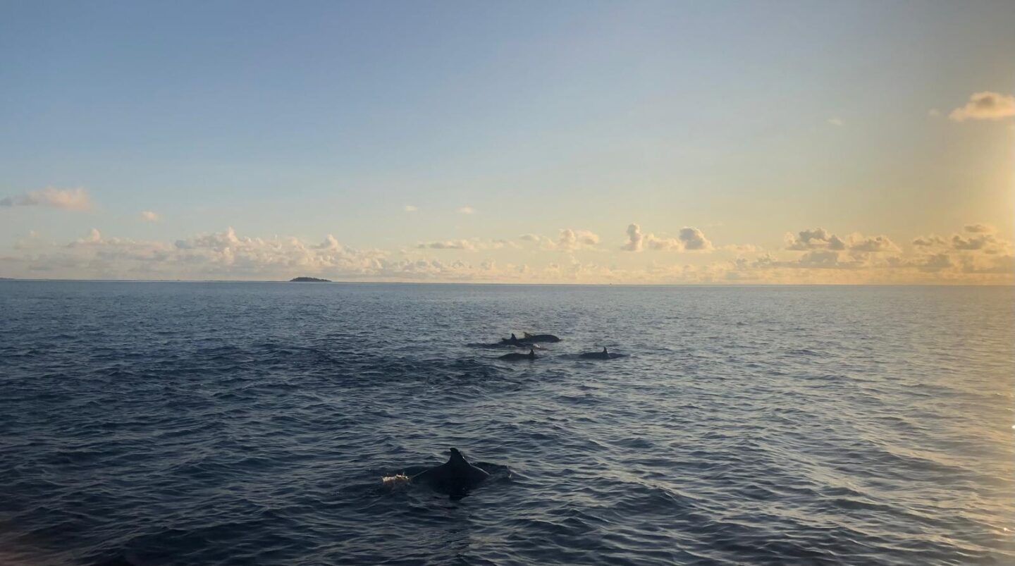 Can you do the Maldives on a Budget?