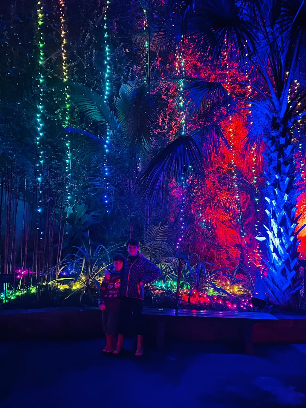 The Magic of Christmas at Eden 2024
