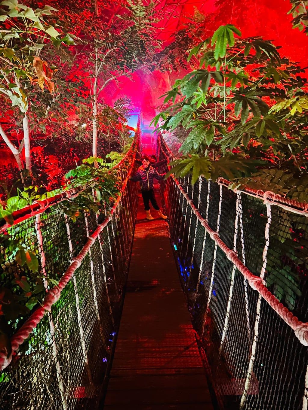 The Magic of Christmas at Eden 2024