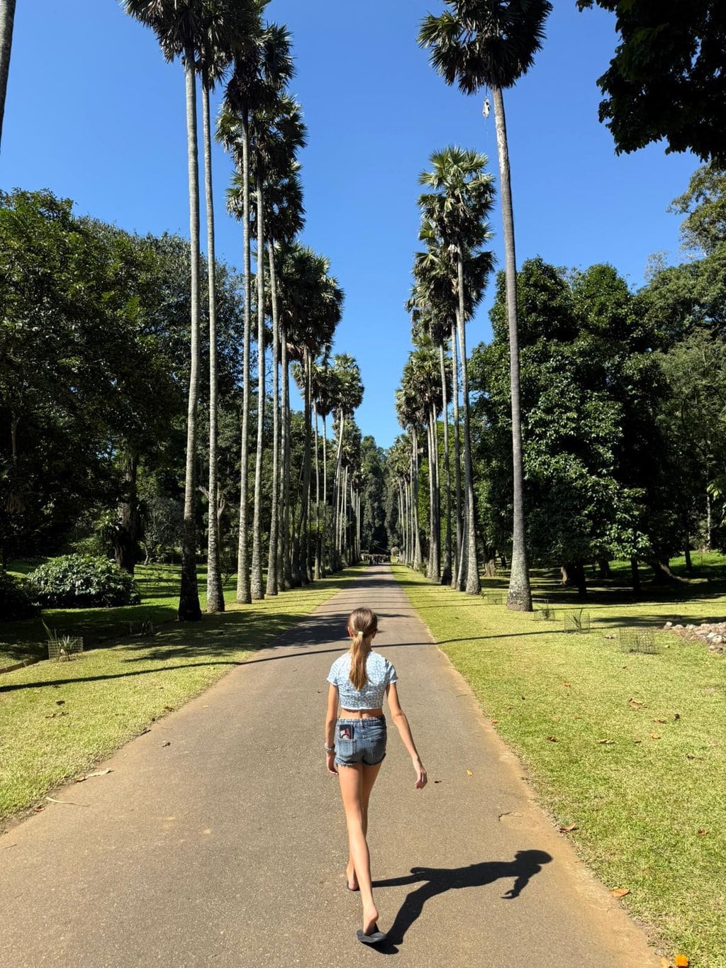 Royal Botanic Garden Kandy