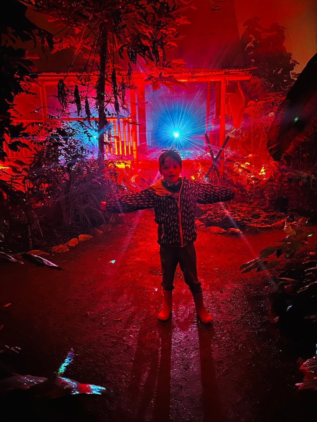 The Magic of Christmas at Eden 2024