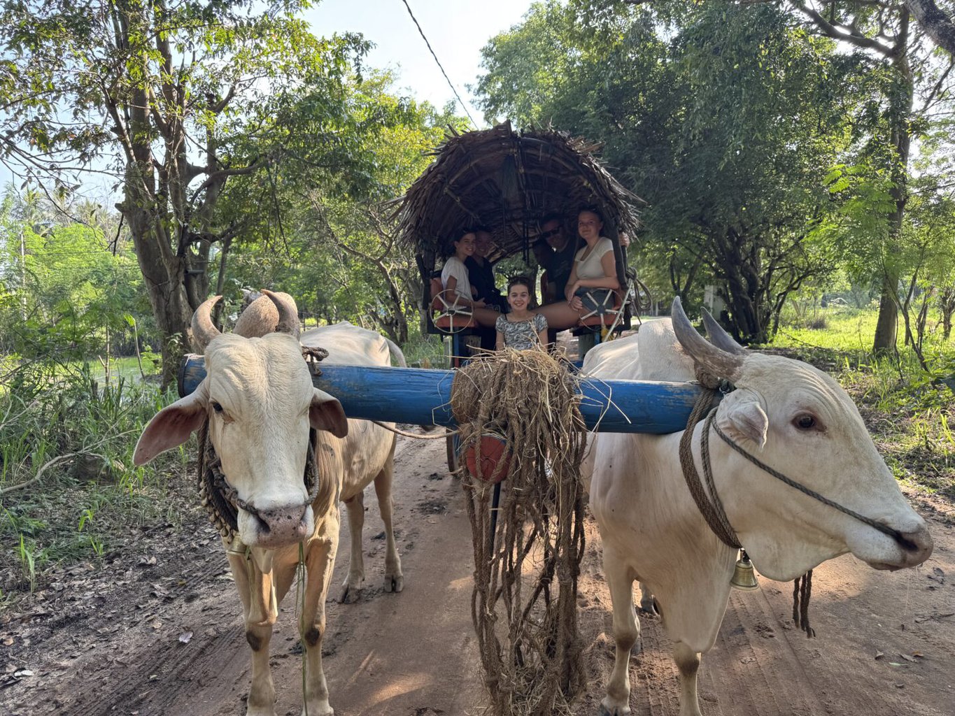 Village Tour - Sigiriya