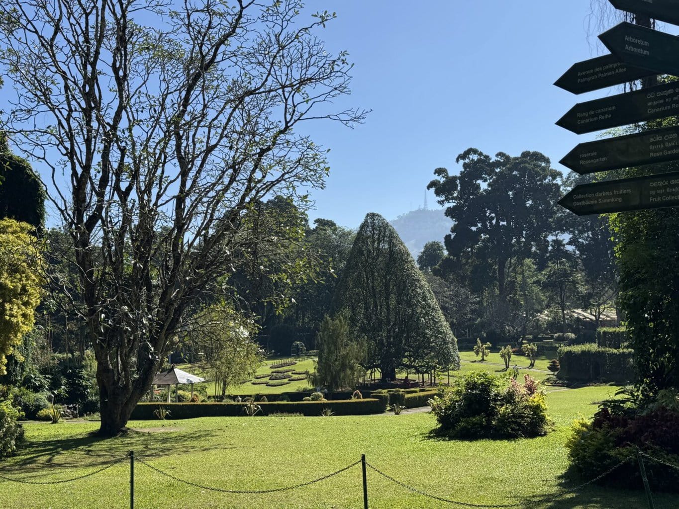 Royal Botanic Garden Kandy