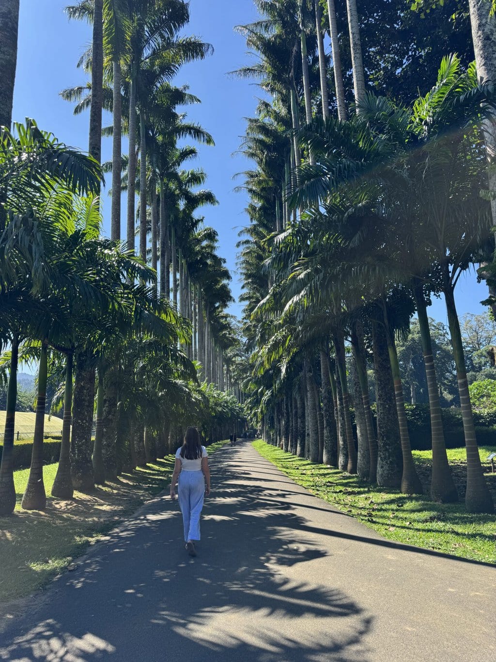 Royal Botanic Garden Kandy