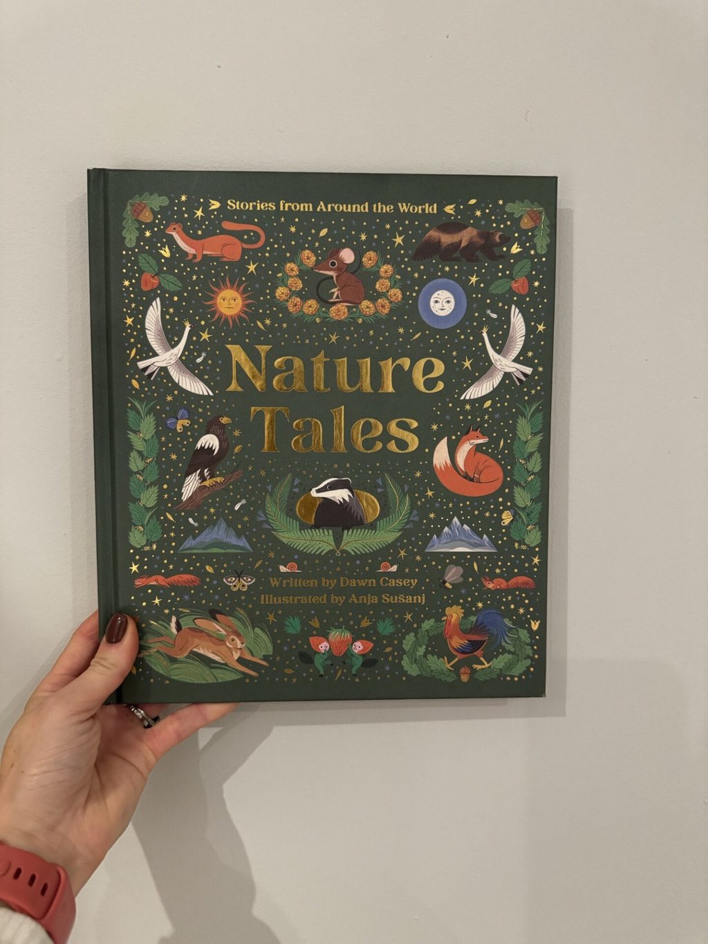 Nature Tales - Dawn Casey