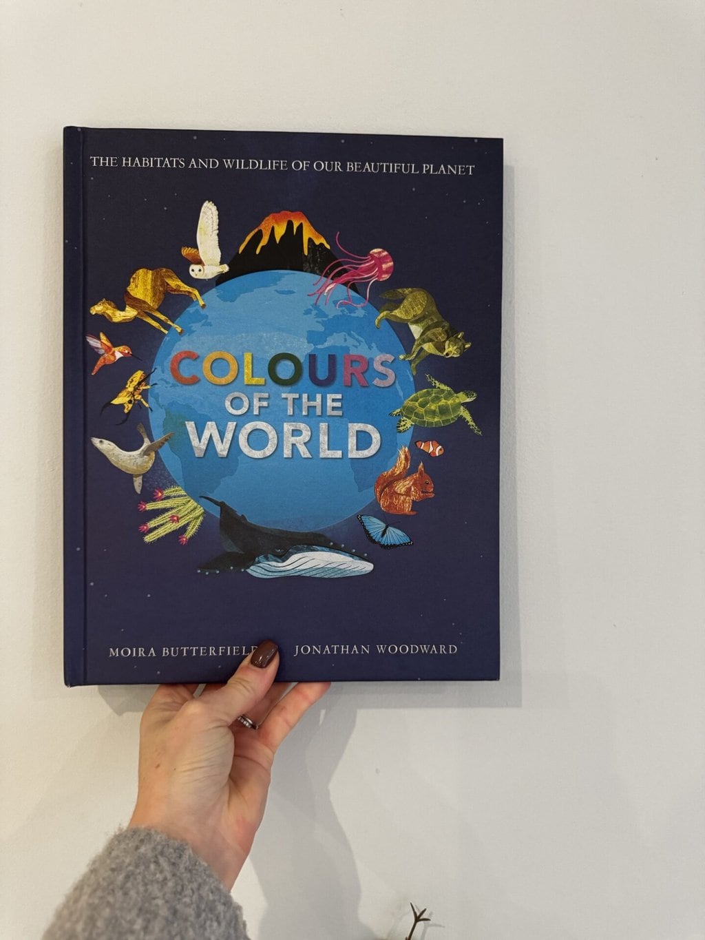 Colours of the World - Moira Butterfield