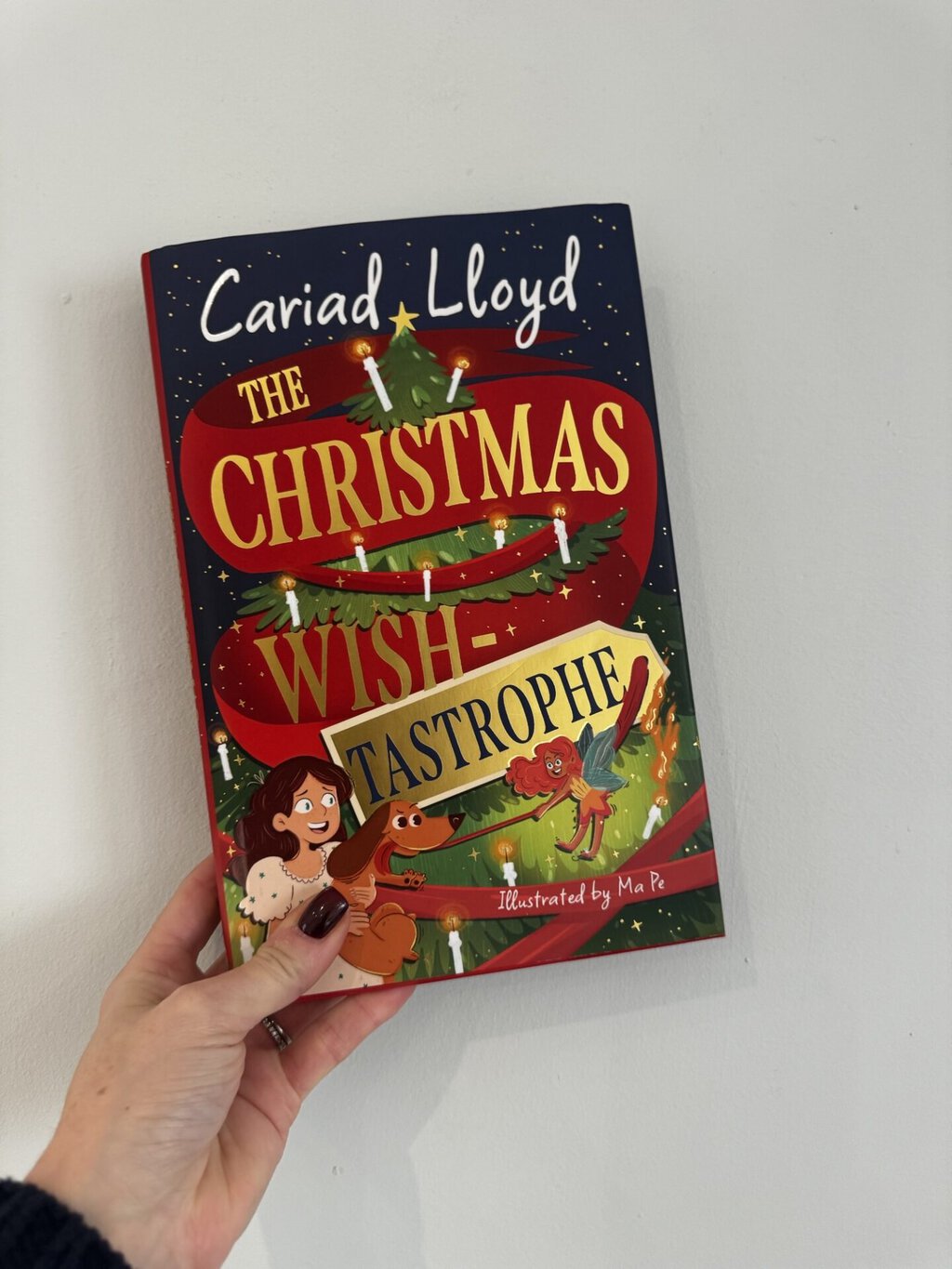 The Christmas Wish-tastrophe