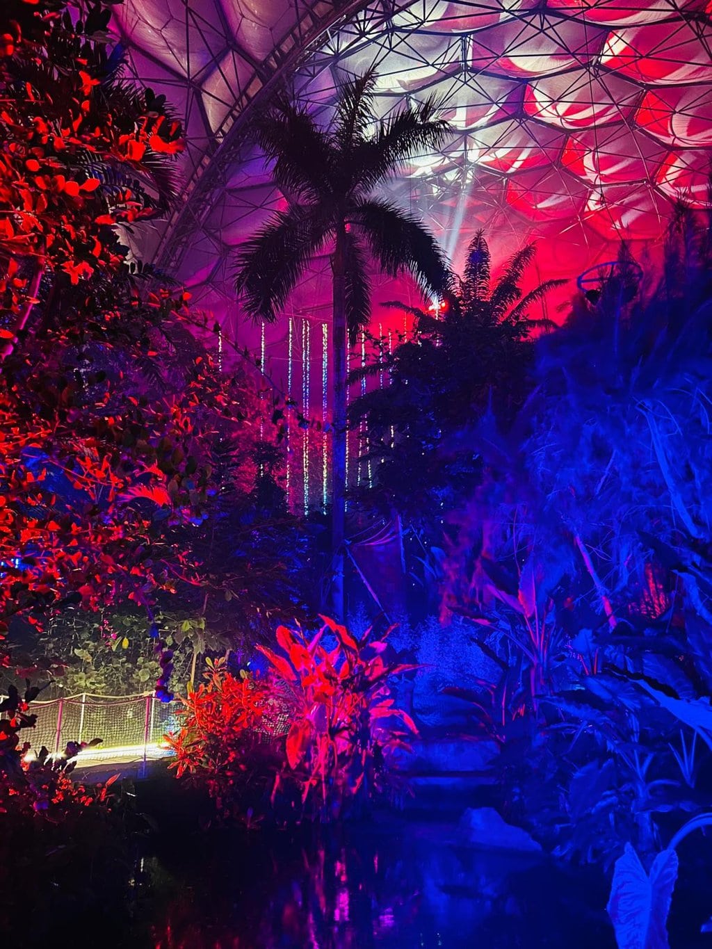 The Magic of Christmas at Eden 2024