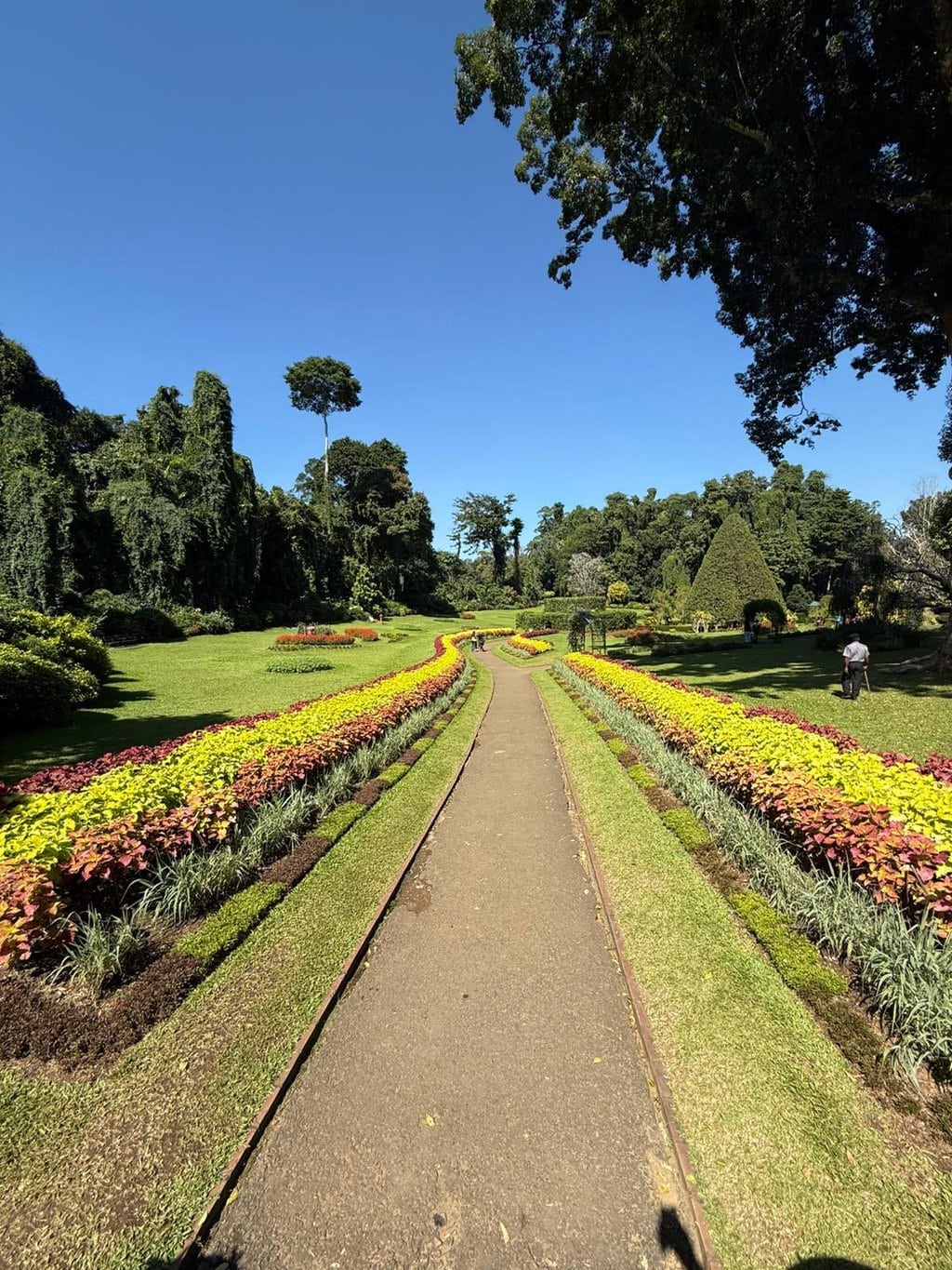 Royal Botanic Garden Kandy