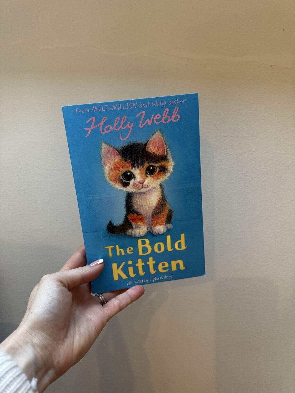 The Bold Kitten - Holly Webb
