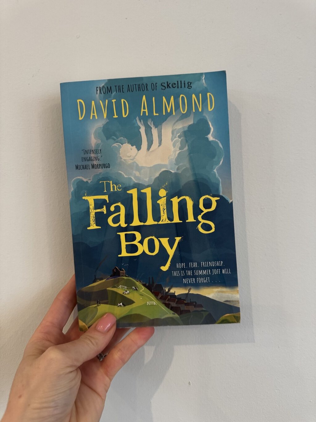 The Falling Boy - David Almond