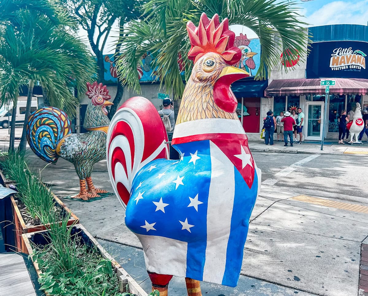 A Rooster in Little Havana