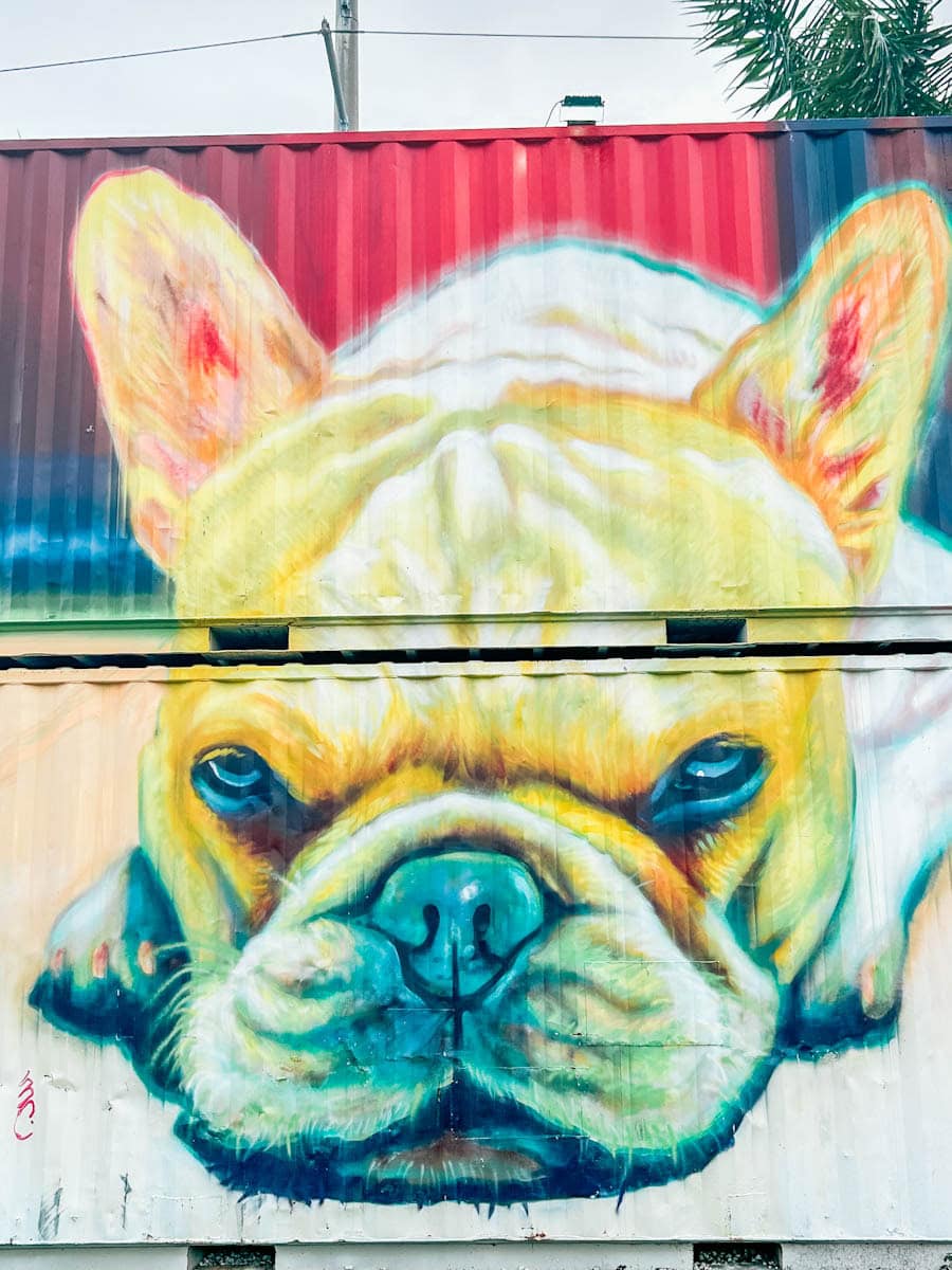 Wynwood Miami