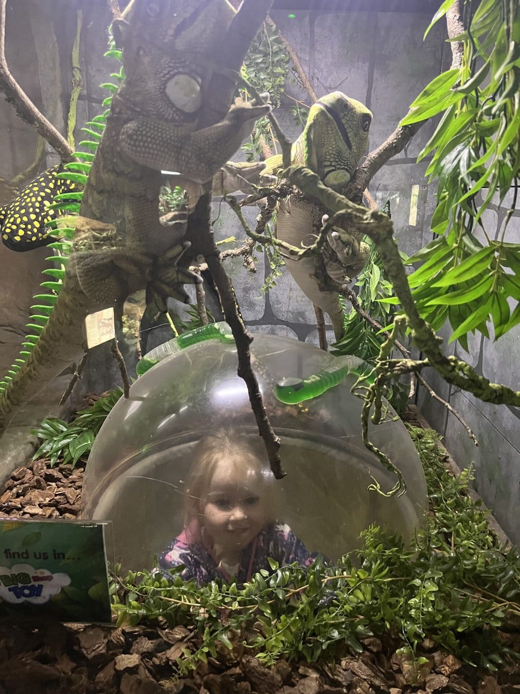 Paultons Park and Peppa Pig World | Review