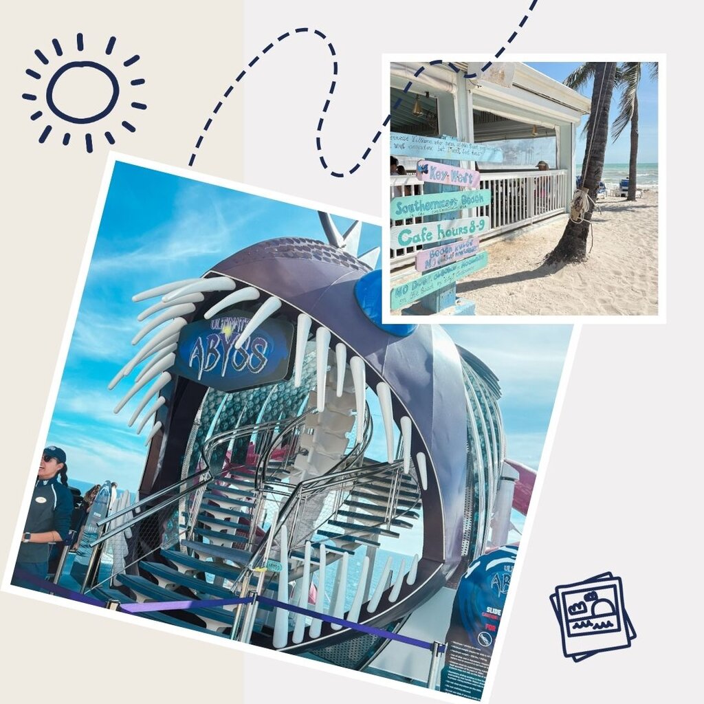The Mini Travellers Cruise reviews