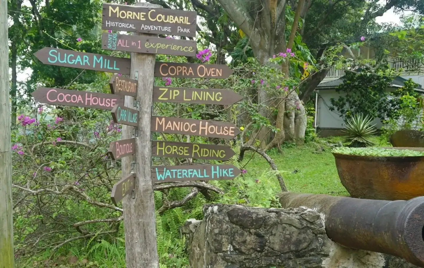Visit The Morne Coubaril Estate Cocoa Plantation