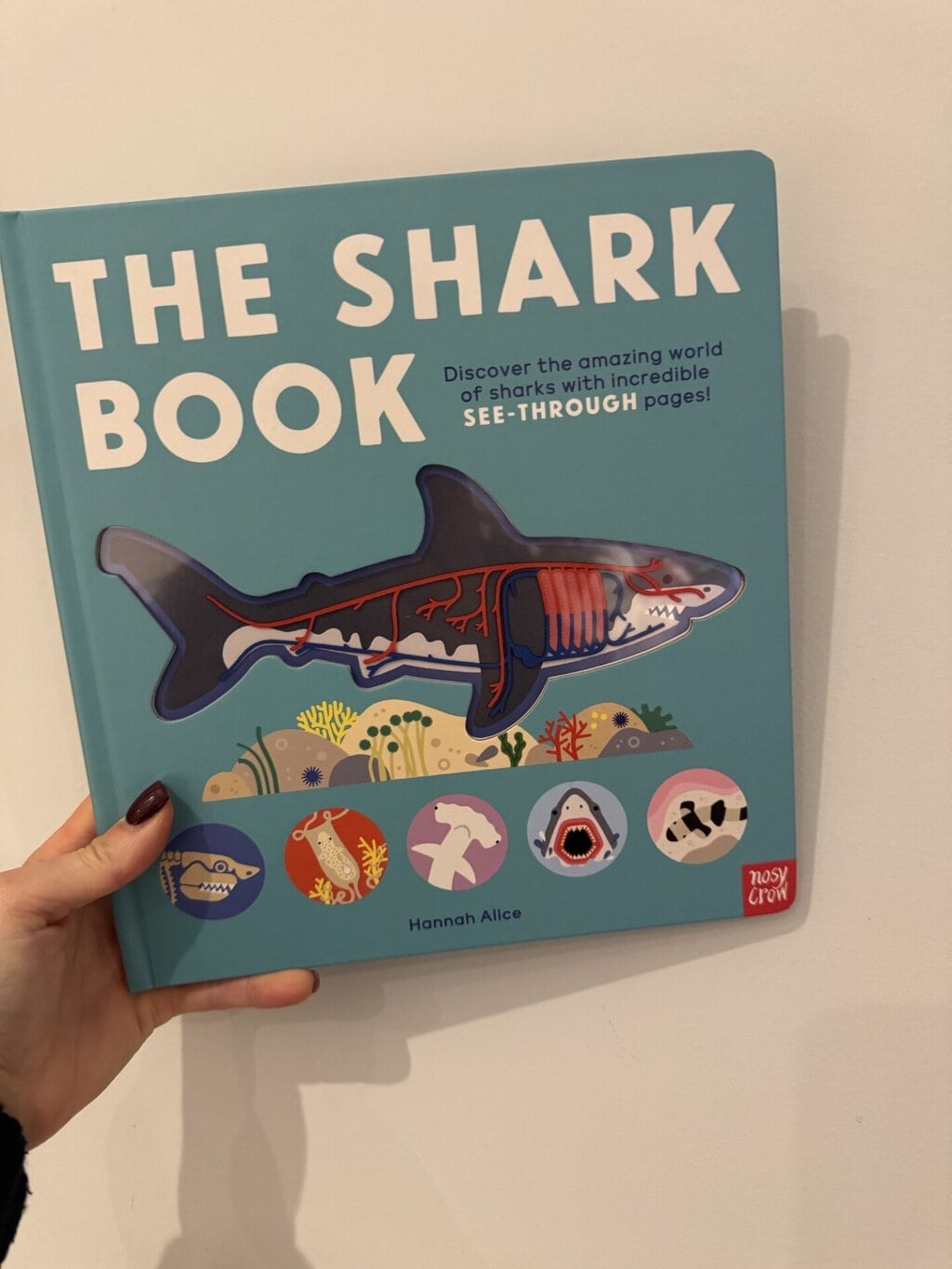 The Shark Book - Hannah Alice
