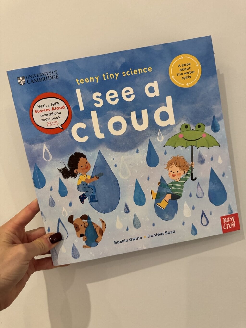 Teeny Tiny science - I See a Cloud