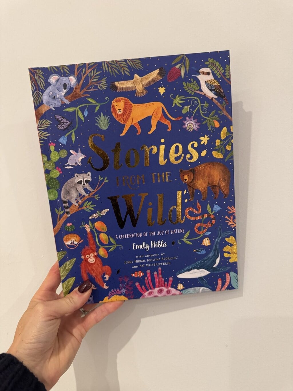 Stories from the Wild - Emily Hibbs