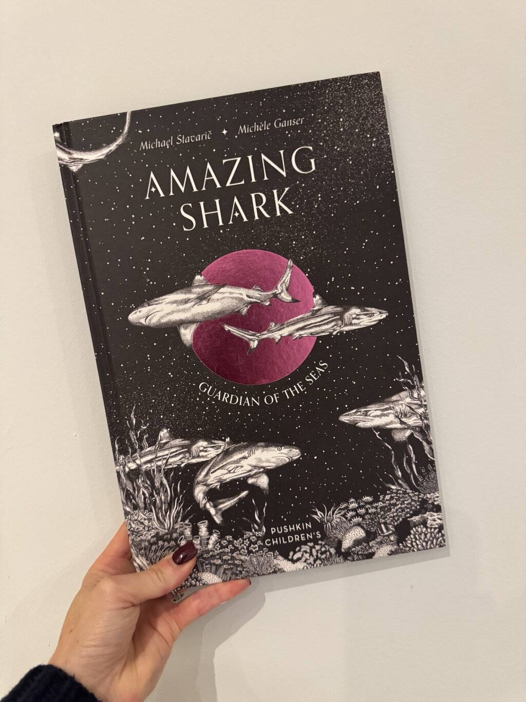 Amazing Shark - Michael Stavaric