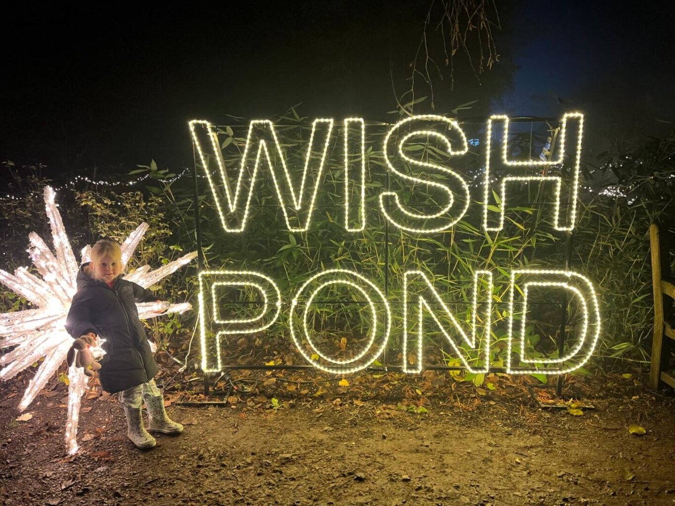 Light Up Trails at Sir Harold Hillier Gardens – A Magical Family Night Out
