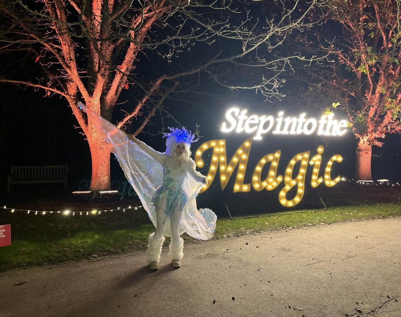 Light Up Trails at Sir Harold Hillier Gardens – A Magical Family Night Out