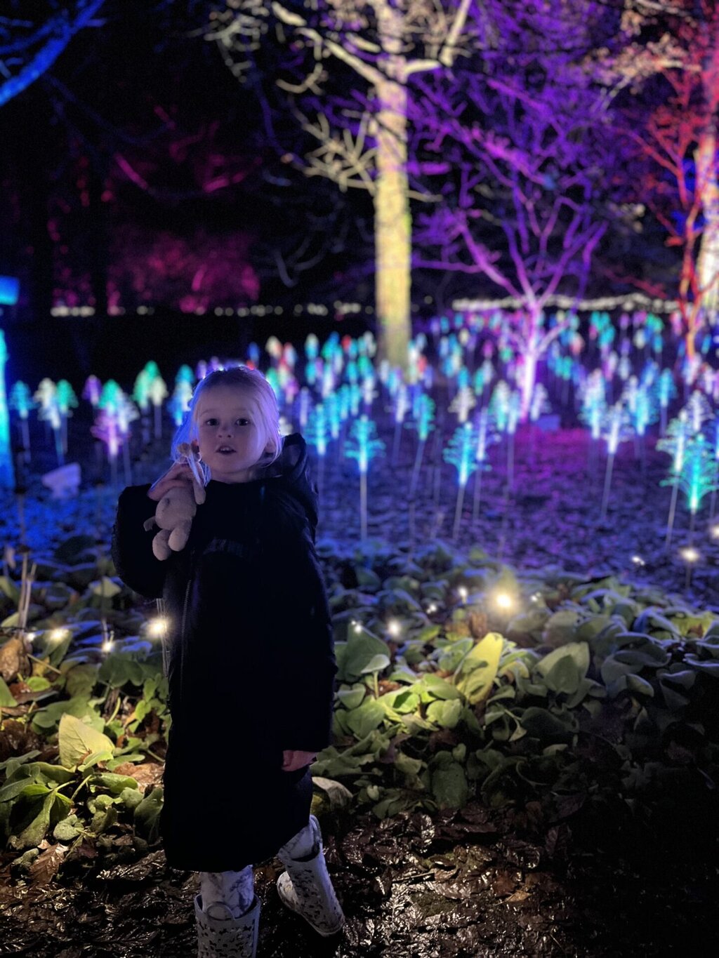 Light Up Trails at Sir Harold Hillier Gardens – A Magical Family Night Out
