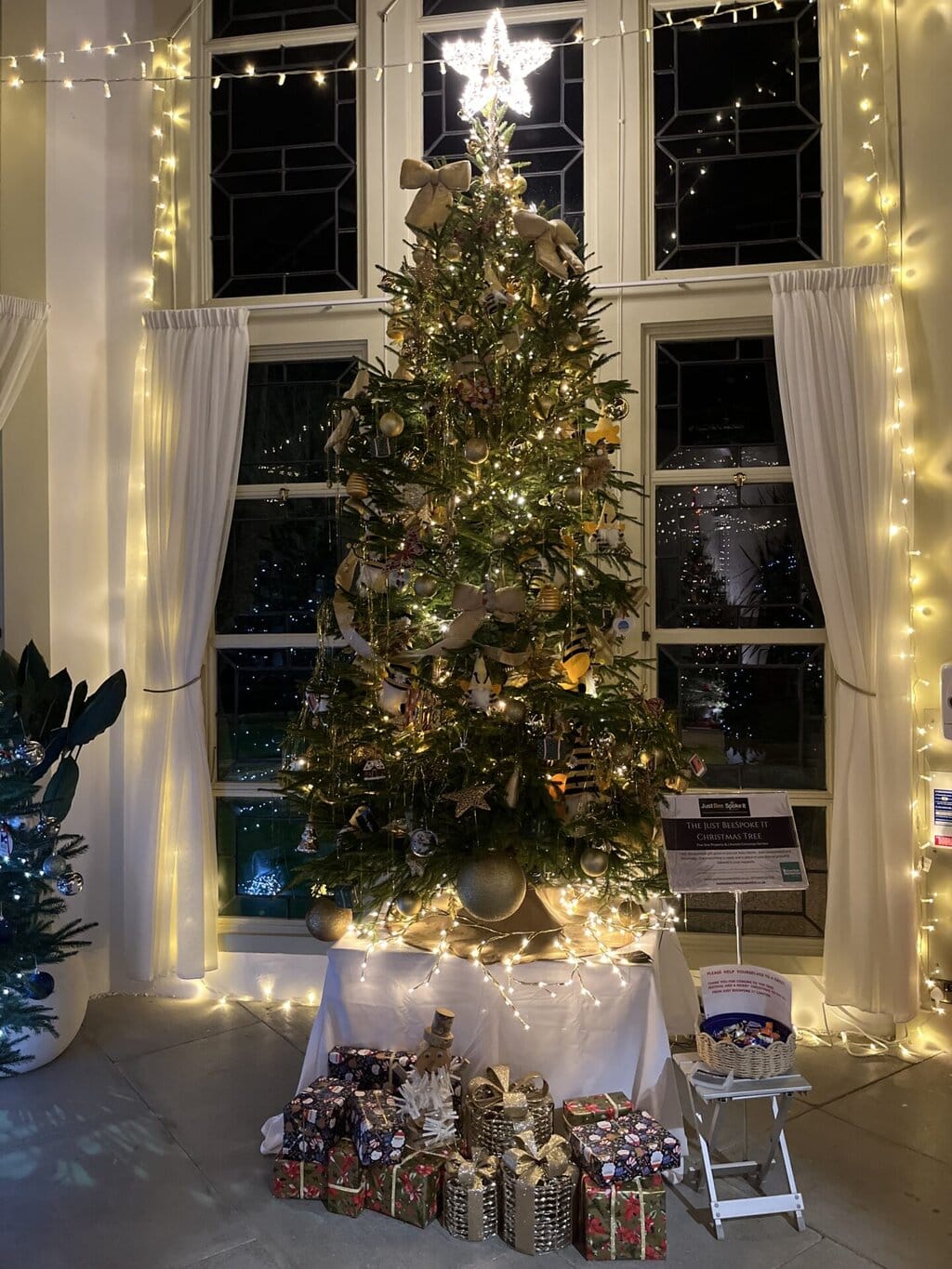 Highcliffe Castle Christmas Tree Festival