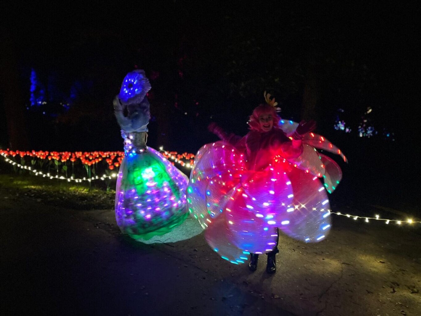 Light Up Trails at Sir Harold Hillier Gardens – A Magical Family Night Out