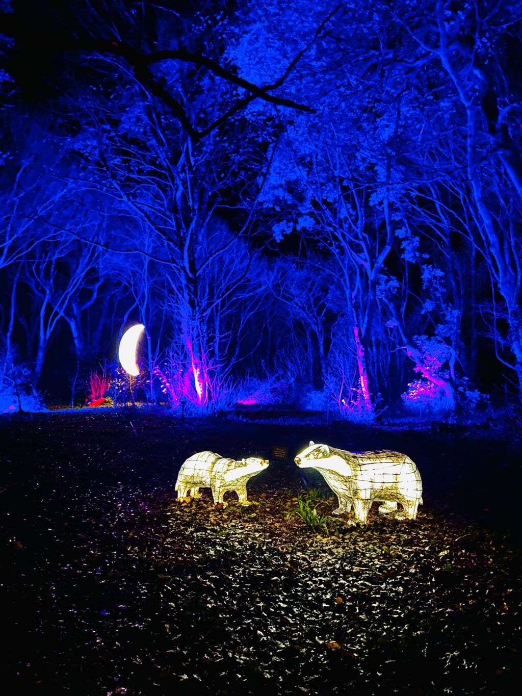 Ten Free Activities For Children at Christmas