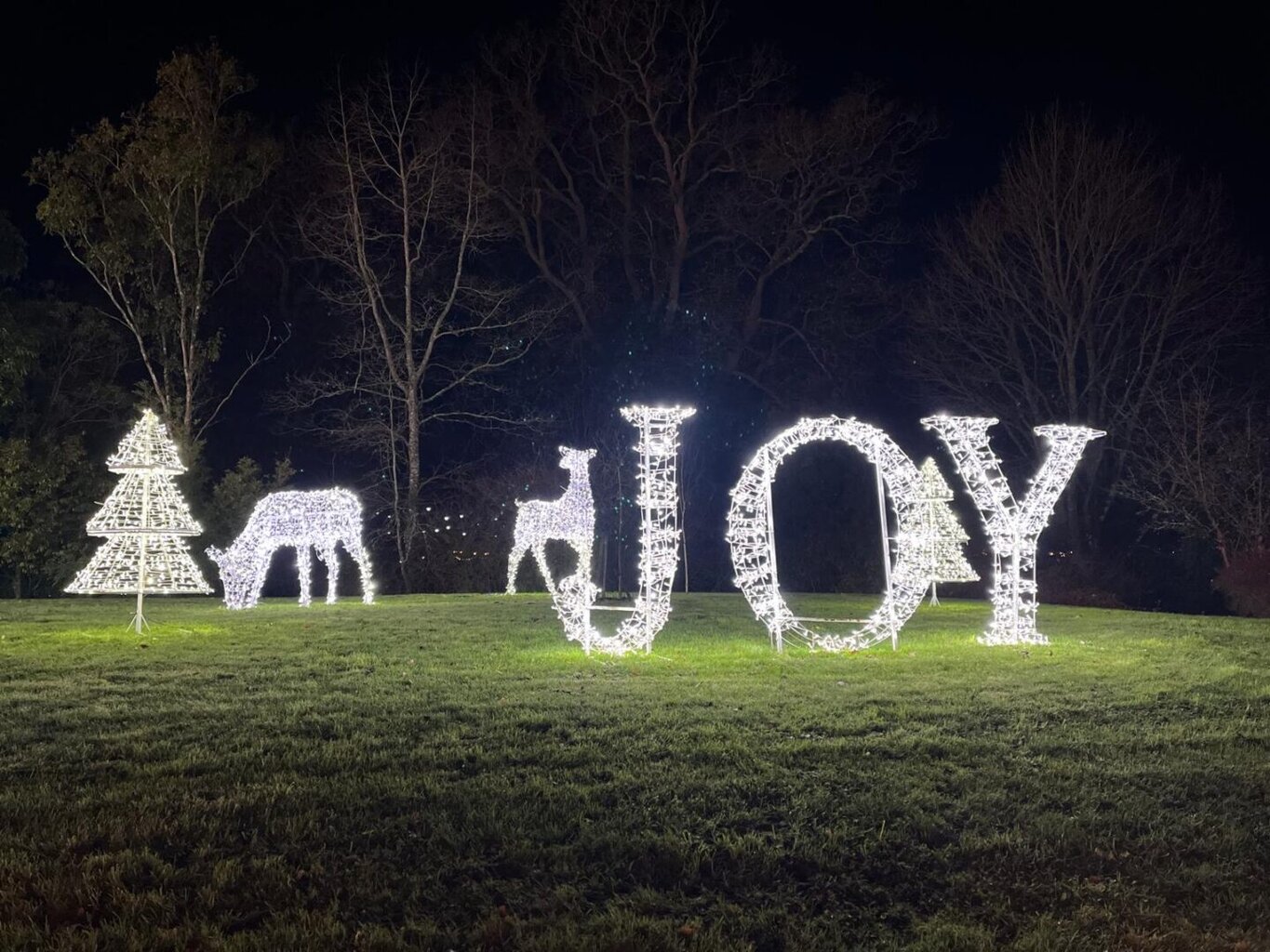 Light Up Trails at Sir Harold Hillier Gardens – A Magical Family Night Out